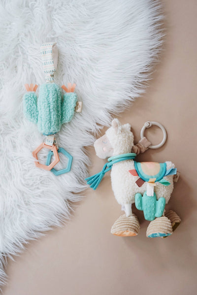 Cactus Travel Attachable Toy