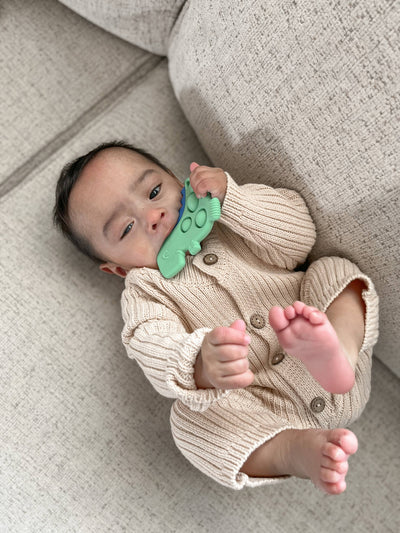 Dino Sensory Popper Toy