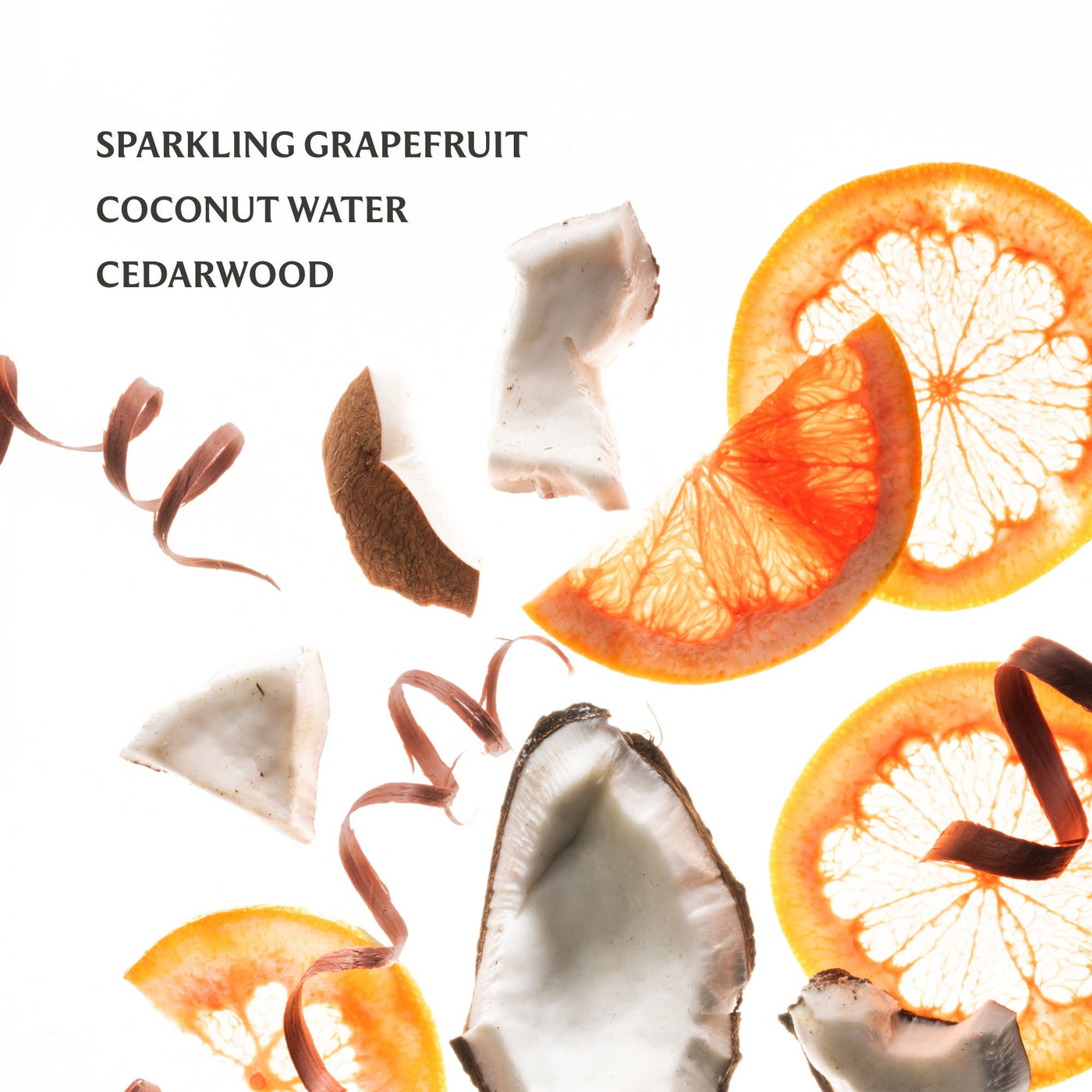 Beach Coco Mist Hand Sanitizer