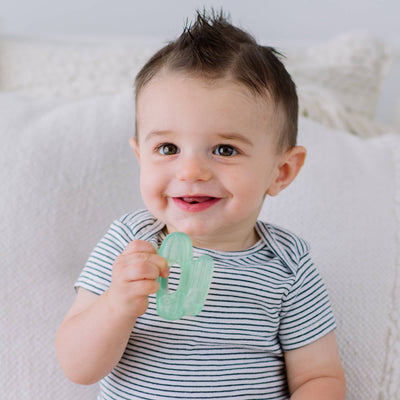 Cactus Teethers