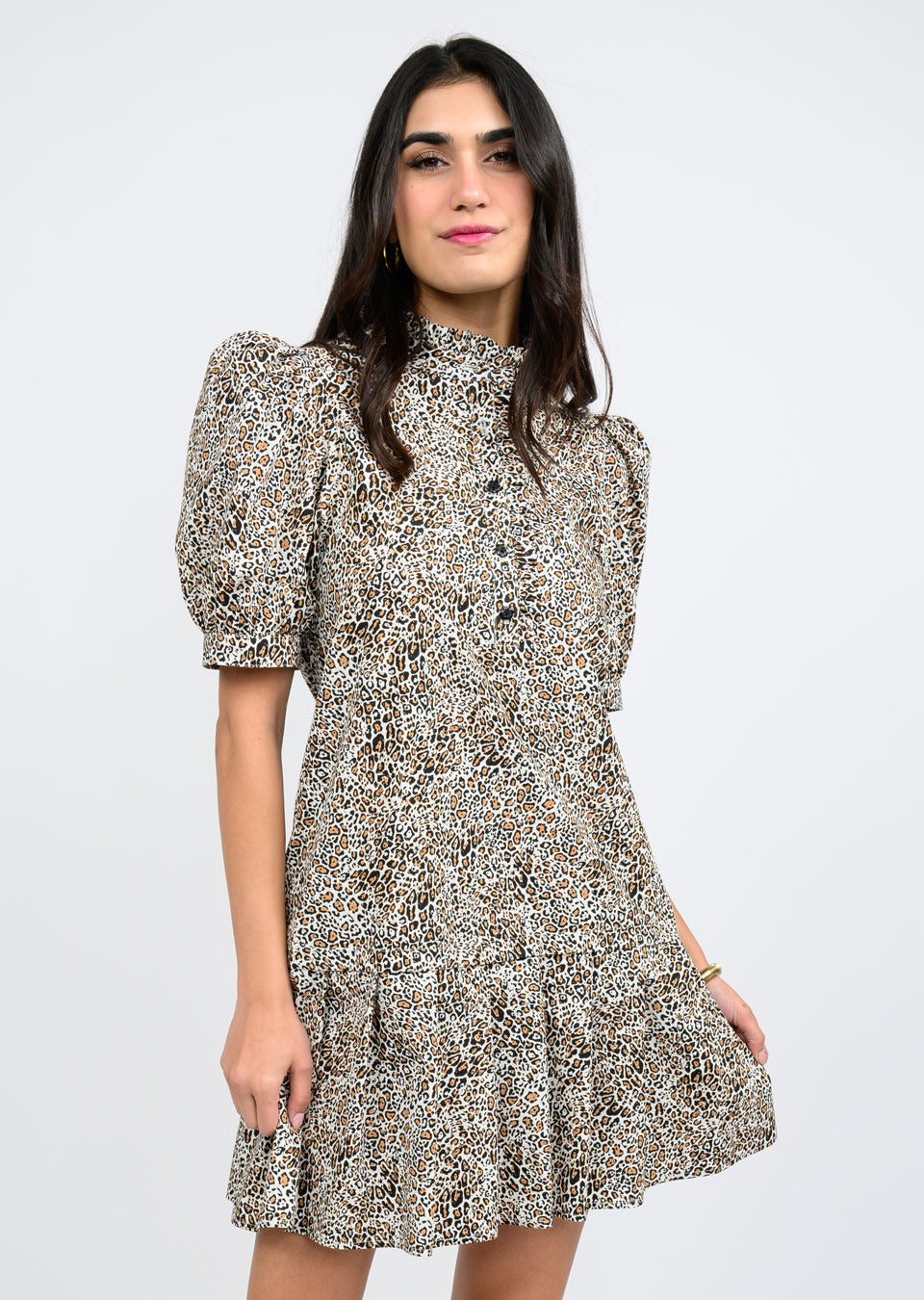 Leopard Pleated Dress