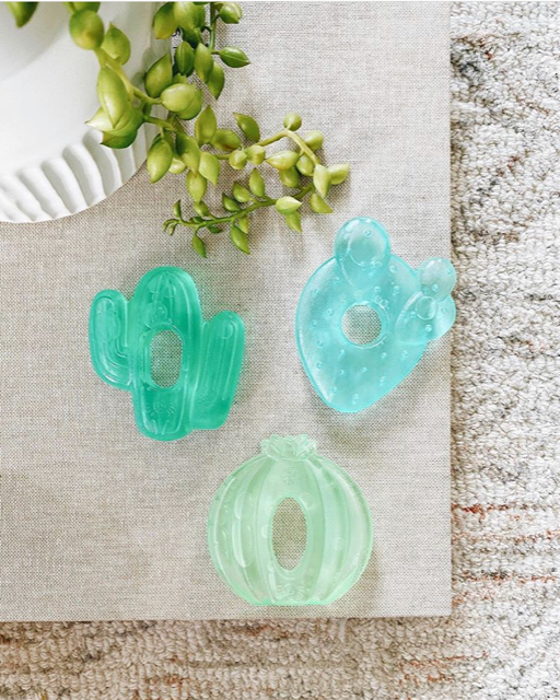 Cactus Teethers