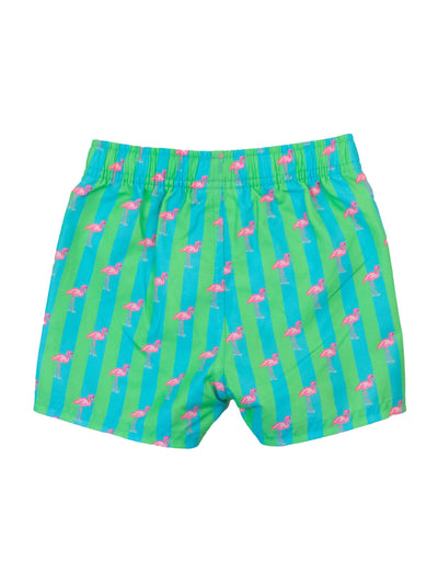 Boys Flamingo Stripe Swim Trunks: