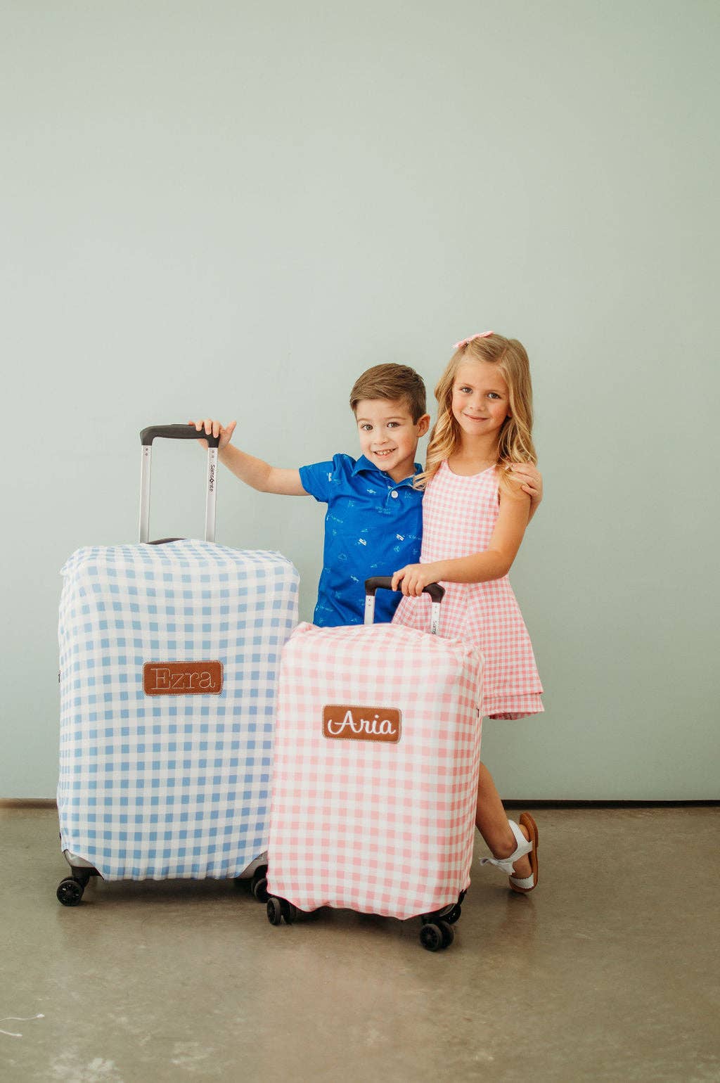 Pink Gingham Small Luggage Cover