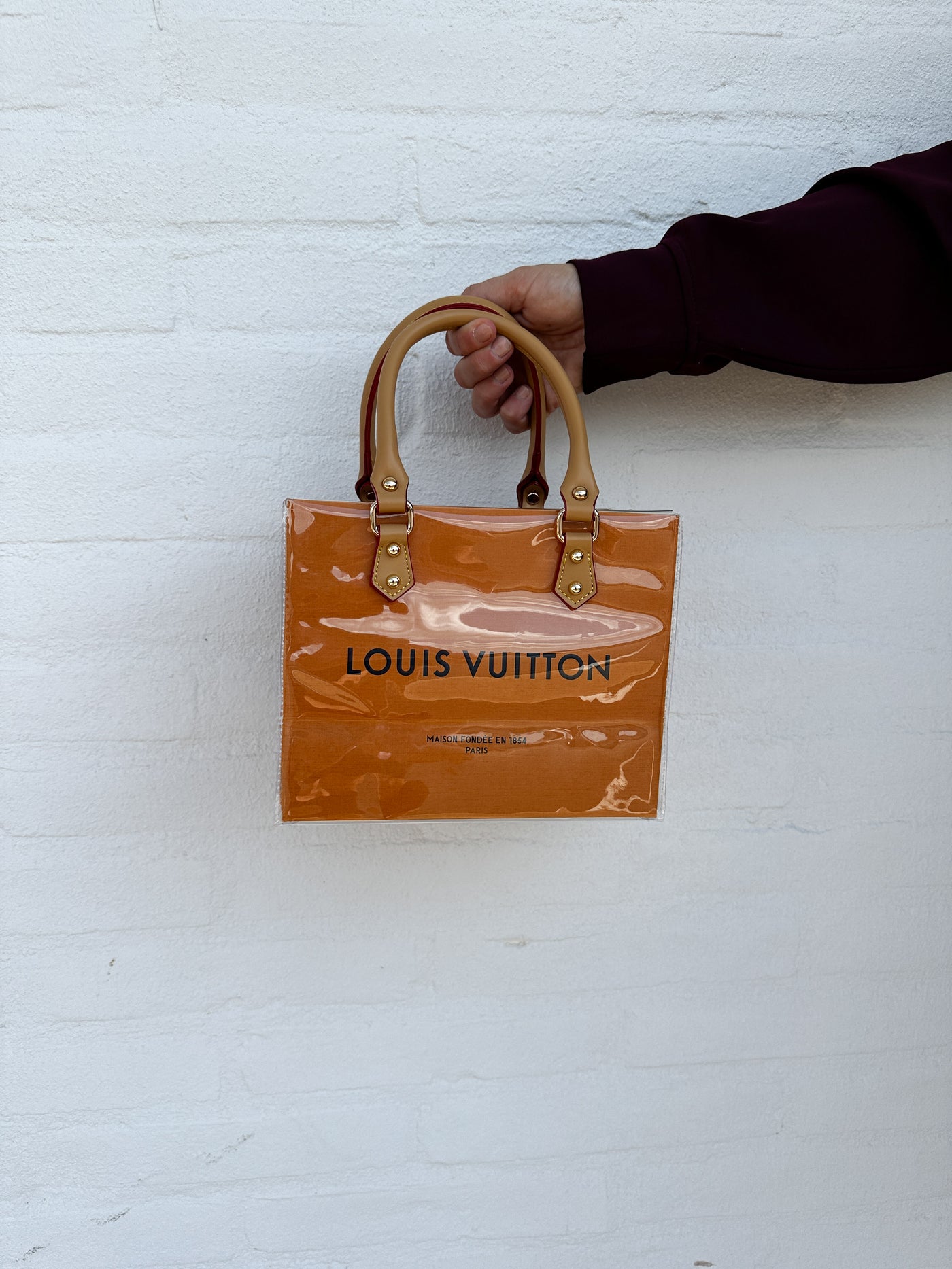 Louis Vuitton Small Bag Tote