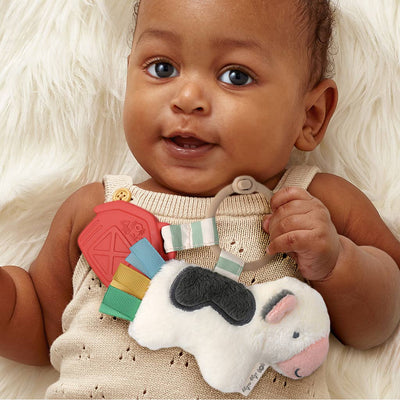 Carmen the Pal Cow Teether Toy