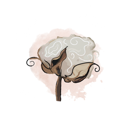 Cotton Belles Boutique & co Logo | Cotton Belles Boutique & co, 1403 E Airline,Victoria, Texas, 77901
