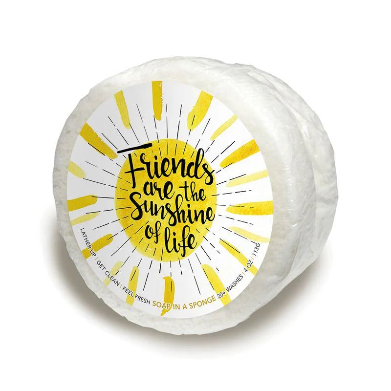 Friends are the Sunshine of Life Soap Sponge