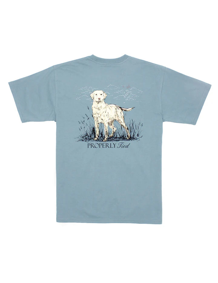 Boys Labrador T-Shirt