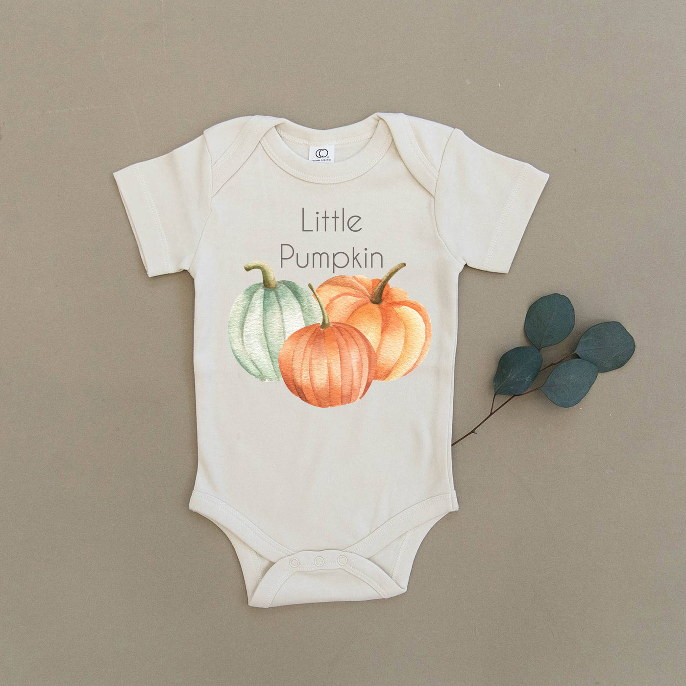 Little Pumpkin Organic Baby Onesie & Toddler Tee